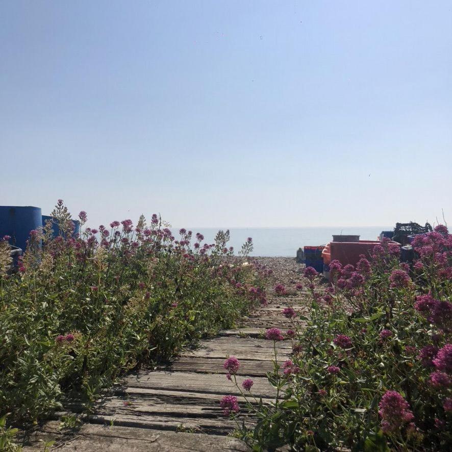 Heritage Cottage - Charming And Stylish Home With Lovely Garden Walmer Eksteriør billede