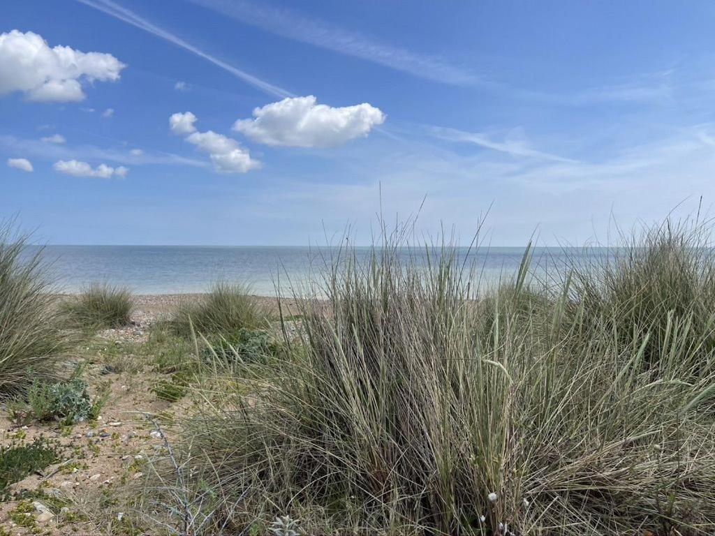Heritage Cottage - Charming And Stylish Home With Lovely Garden Walmer Eksteriør billede